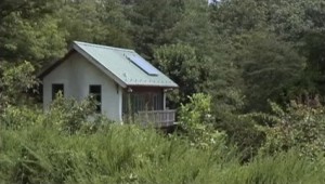 A sustainable home blends in with nature